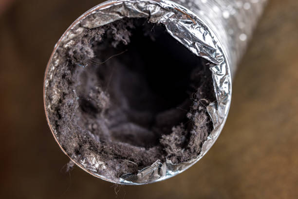 Best Air Duct Cleaning Near Me  in Landrum, SC