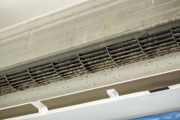 Best Ductwork Cleaning Services  in Landrum, SC